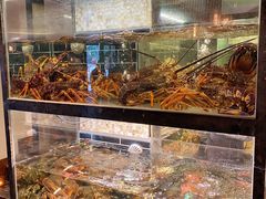 -甄御•海鲜新青岛菜(麦岛店)