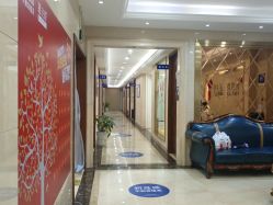 -碧莲盛·不剃发植发