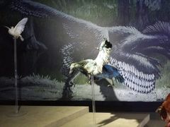 -中国西峡恐龙遗迹园