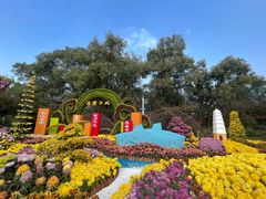 -南山植物园
