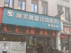 -瑞派名望24h动物医院异宠专科·猫专科·骨科·重症监护分院