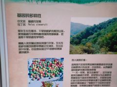 -石家庄市植物园
