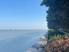 -大湾区中央湿地公园