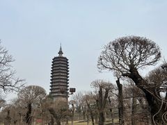 -西海子公园