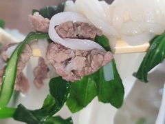 -常来老白莲鹅饭店(老城店)