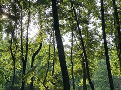 -杭州植物园