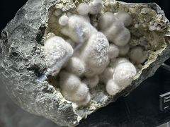 -墨尔本博物馆(Melbourne Museum)