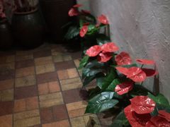 烤鸡翅-小杨烤肉(朱雀店)