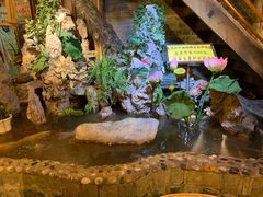 -多哥水傣味餐厅(司马巷店)
