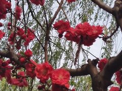 -元大都城垣遗址公园