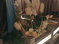 -荷塘秋月·本帮江浙菜(国权路店)