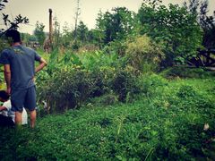 -祥源·阜阳生态乐园