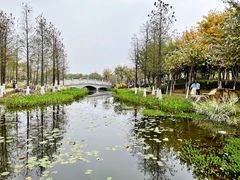 -映月湖公园