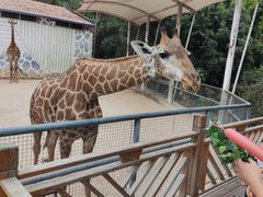 -泉州海丝野生动物世界