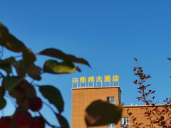 -特克斯八卦城