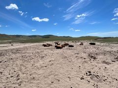 -塞罕坝国家级自然保护区