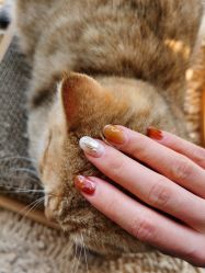 -森日式美甲沙龙MORI NAIL总店