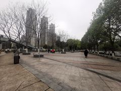 -后襄河公园