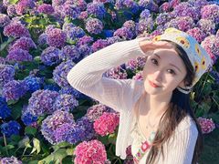 -荷兰花海