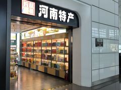 -郑州新郑国际机场-T2航站楼