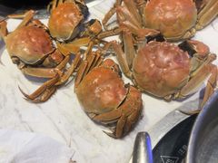 -半岛听涛蒸汽海鲜自助(K11店)