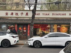 -宝源饺子(麦子店街店)
