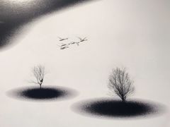 -罗红摄影艺术馆