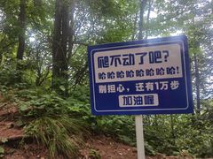 -罗田薄刀峰风景区
