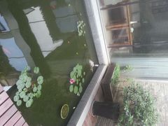 android_upload_pic-西津云缦酒店