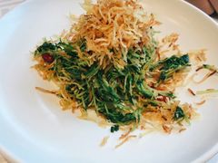 巧拌豆苗-四季民福烤鸭店(王府井灯市口店)