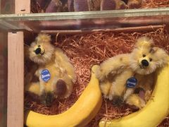 -济州岛泰迪熊博物馆