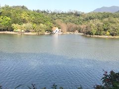 -深圳仙湖植物园