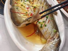 -源水鱼庄·翘嘴鲌店·老字号