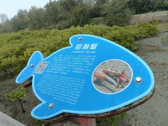 -北海金海湾红树林生态旅游区