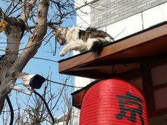 -日本风情街