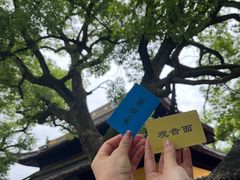 -西园戒幢律寺