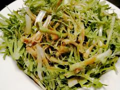 凉拌苦苣-来顺成饭庄