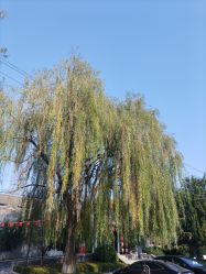 -童心园麦窑·儿童拓展探宝乐园