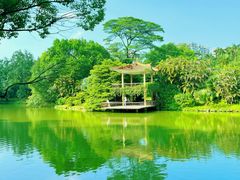 -中国科学院华南植物园
