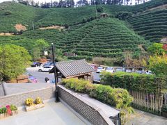 -心无尘茶餐馆(径山村店)