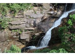 -海南热带雨林国家公园吊罗山景区