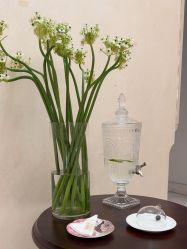 -尊尚柏丽美容SPA