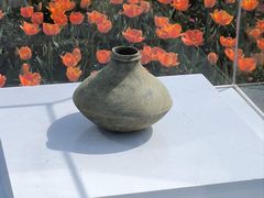 -荷兰花海