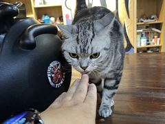 -KingBull私教健身&格斗订制(龙井商业中心店)