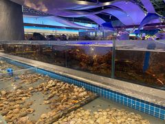 -一方渔歌蒸汽海鲜自助(文化路万达广场店)