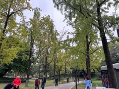 -成都市活水公园