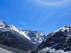 -金鼎雪山牦牛杂火锅(理县总店)