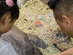 -苏州海洋馆