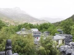 -老张烤羊(王哥庄店)