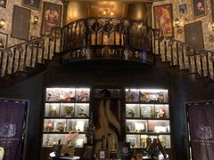 -雪灵魔法世界SHELLY’S TAROT(大良桂畔里店)